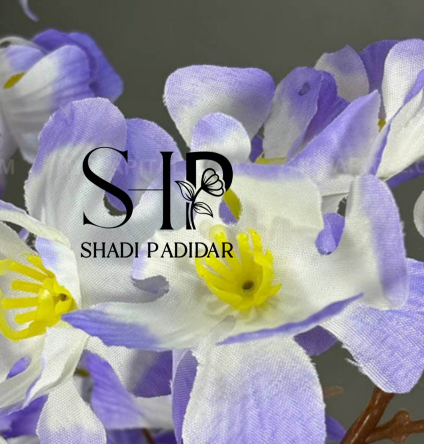 تولید شکوفه گیلاس